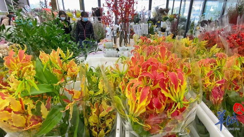年花市場紅紅火火 本地品種與網紅產品引領新風尚，辦公用品煥發新春氣息